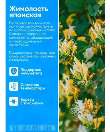 Yiling Lyanhua Tsinwan 24 capsules from colds viruses and flu - Buy Online on GoSupps.com