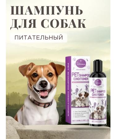 Hypoallergenic animals for dogs