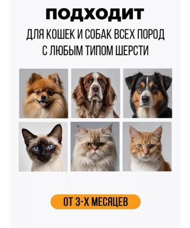 Dry shampoo for cats and dogs without washing - Buy Online on GoSupps.com