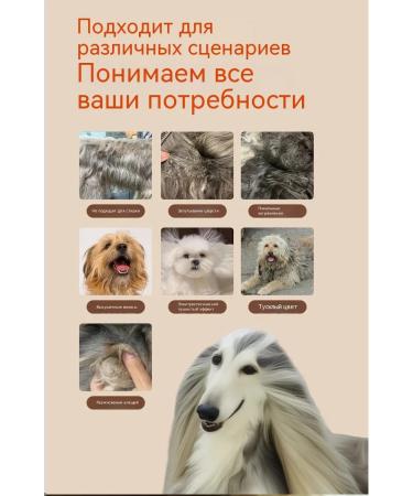 Dry shampoo for cats without rinsing 200 ml - Buy Online on GoSupps.com