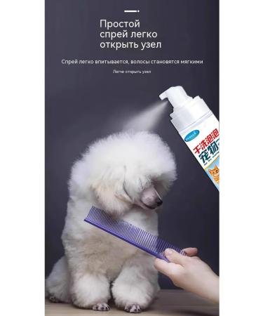 Dry shampoo for cats without rinsing 200 ml - Buy Online on GoSupps.com