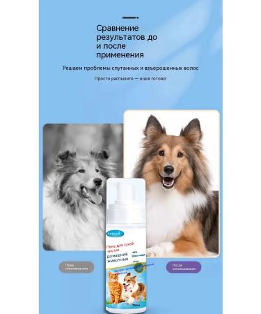 Dry shampoo for cats without rinsing 200 ml - Buy Online on GoSupps.com