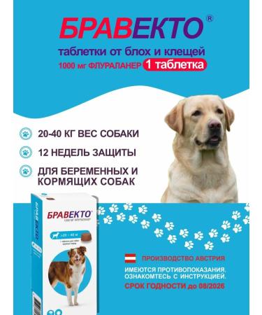 Bravecto20-40 kg chewing tablet 1000 mg