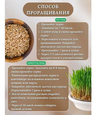 AGRO LAND Wheat for germination - Buy Online on GoSupps.com