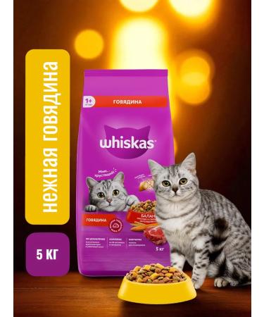 Whiskas Dry food of a paste of beef 5 kg