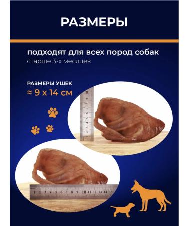Treats for animals Pork ears for dogs natural treats 1 kg - Buy Online on GoSupps.com
