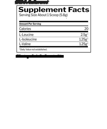 Rule One Rule Active BCAA 405 g amino acids - Buy Online on GoSupps.com