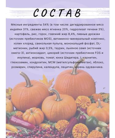 Enso Dry food for adult dogs of medium and large breeds with lamb and tomato 0.8 kg - Buy Online on GoSupps.com