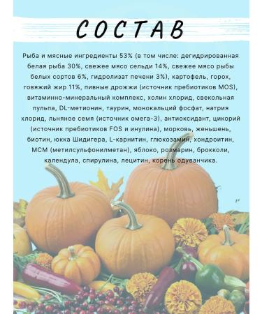 Enso Dry food for adult dogs of medium and large breeds with white fish and broccoli 10 kg - Buy Online on GoSupps.com