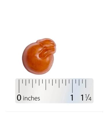 Nature's Way Alive! Nature's Way vitamins for men without sugar 50 marm - Buy Online on GoSupps.com