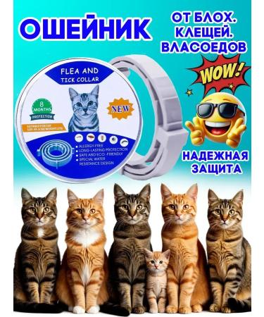 Father Frost Collar from fleas and ticks for cats Protection from insects