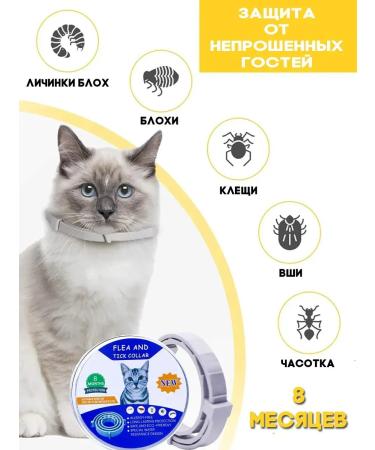 Father Frost Collar from fleas and ticks for cats Protection from insects - Buy Online on GoSupps.com