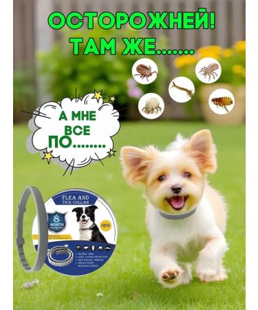 Father Frost A collar from fleas and ticks for dogs Protection from insects - Buy Online on GoSupps.com