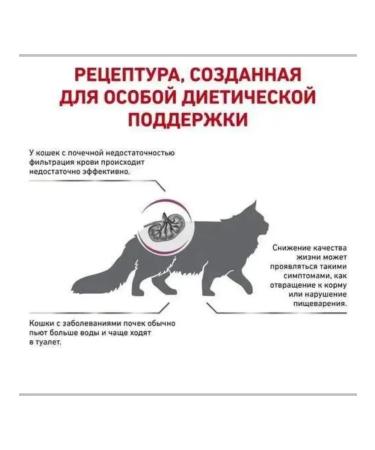 ROYAL CANIN Renal Select for cats 400 g - Buy Online on GoSupps.com