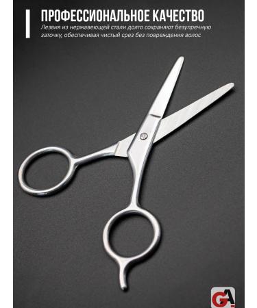 PAIE Board and mustache career scissors - Buy Online on GoSupps.com