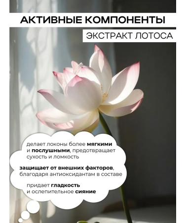 ADRICOCO Hair balm for daily use 1000 ml - Buy Online on GoSupps.com