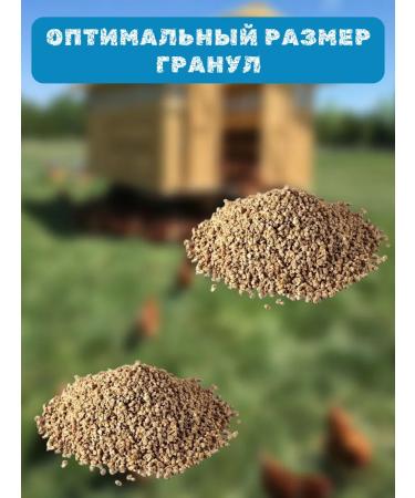 premix Feed for chickens ducklings goslings from 0 days Start-n 10 kg - Buy Online on GoSupps.com