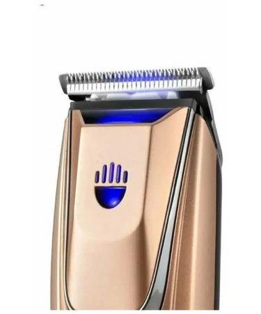 Multifunctional grill for home and cottage - Buy Online on GoSupps.com