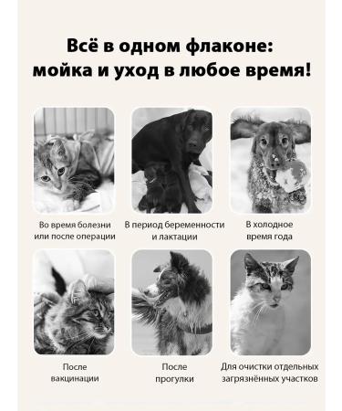 Shampoo-pen that does not need to be washed off for cats and dogs - Buy Online on GoSupps.com