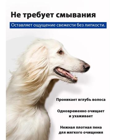 Cleaning foam for pets (dogs and cats) - Buy Online on GoSupps.com