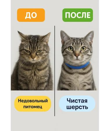 NAZKA21 Collar for cats from fleas and ticks parasites - Buy Online on GoSupps.com