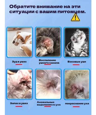 Drops for dogs purulent otitis 60 ml - Buy Online on GoSupps.com