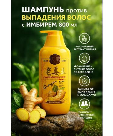 CO26 Shampoo against hair loss with ginger 800 ml - Buy Online on GoSupps.com