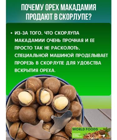 World Foods Macadamia in the shell 1 kg - Buy Online on GoSupps.com