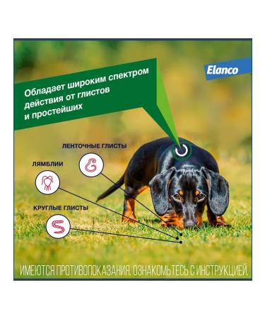 Elanco Drontal plus XL tablets for dogs of large breeds 2 pieces - Buy Online on GoSupps.com