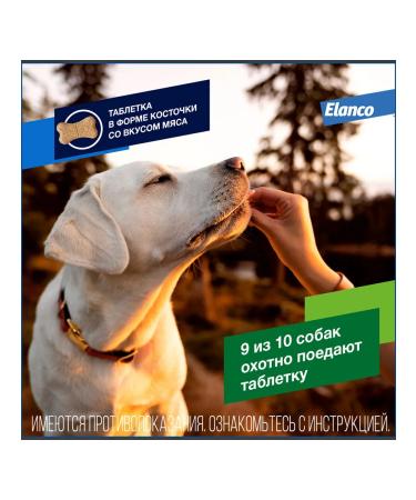 Elanco Drontal plus XL tablets for dogs of large breeds 2 pieces - Buy Online on GoSupps.com