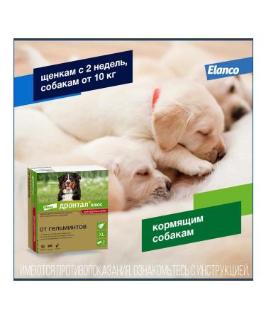 Elanco Drontal plus XL tablets for dogs of large breeds 2 pieces - Buy Online on GoSupps.com