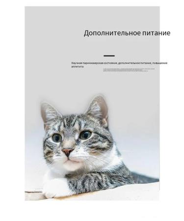 Nutrients for the active period of reproduction of cats - Buy Online on GoSupps.com