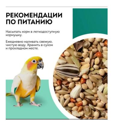 PADOVAN Sunmix Esotico Complex D to Tropical Birds 850g - Buy Online on GoSupps.com