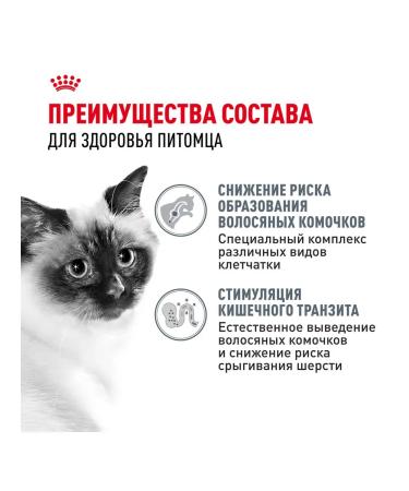 ROYAL CANIN Wet food for the output of cat wool in sauce 85 g 28 pcs - Buy Online on GoSupps.com