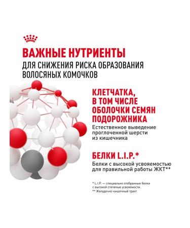 ROYAL CANIN Wet food for the output of cat wool in sauce 85 g 28 pcs - Buy Online on GoSupps.com