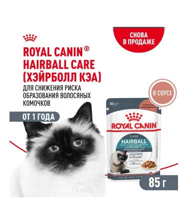 ROYAL CANIN Wet food for the output of cat wool in sauce 85 g 5 pcs - Buy Online on GoSupps.com
