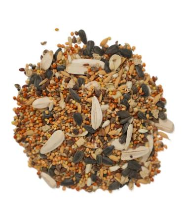 Bambini Pets Dry food for medium parrots 800 g - Buy Online on GoSupps.com