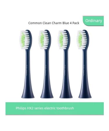 PHILIPS HX2471 nozzles. Normal cleaning 4 pcs
