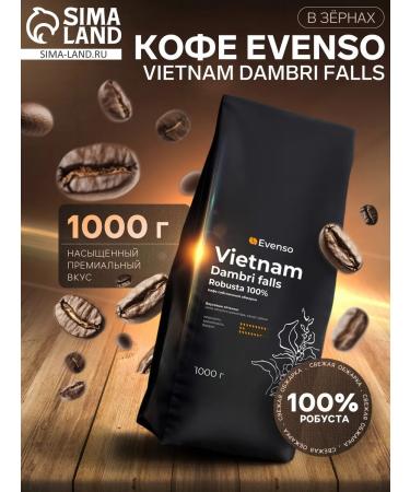 Evenso Vietnam Dabri Falls Coffee in grains 1 kg