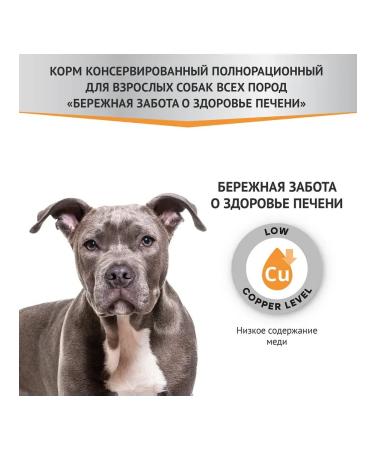 Miratorg Spider for dogs of all breeds 24 pcs 85 g - Buy Online on GoSupps.com