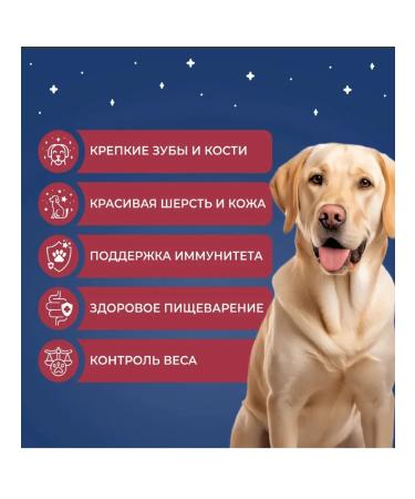 Dogs Menu Dry food for dogs of small breeds with turkey 10 kg - Buy Online on GoSupps.com