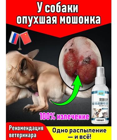 Spray for the treatment of skin diseases in cats and dogs