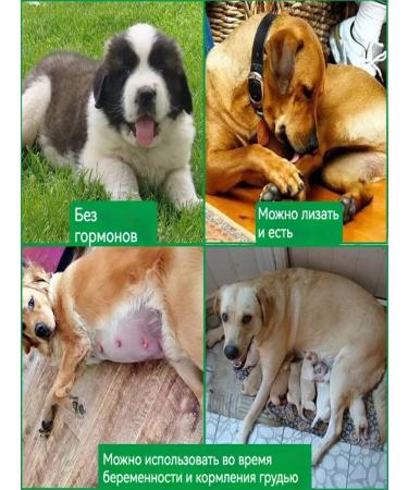 Spray for the treatment of skin diseases in cats and dogs - Buy Online on GoSupps.com