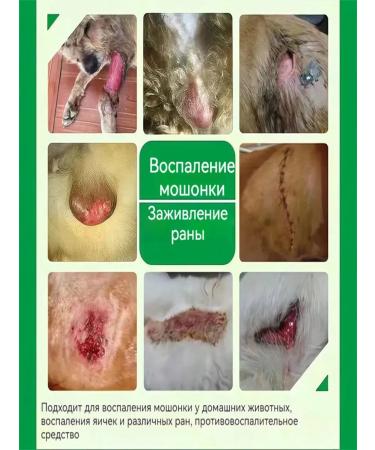 Spray for the treatment of skin diseases in cats and dogs - Buy Online on GoSupps.com