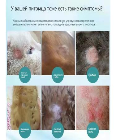 Spray for the treatment of skin diseases in cats and dogs - Buy Online on GoSupps.com