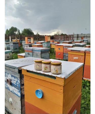 fita Natural honey with a hedgehog of comb 150 grams - Buy Online on GoSupps.com