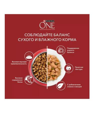 PURINA ONE Mini for small breeds with a duck 85 g x 26 pcs - Buy Online on GoSupps.com