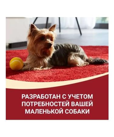 PURINA ONE Mini for small breeds with a duck 85 g x 26 pcs - Buy Online on GoSupps.com