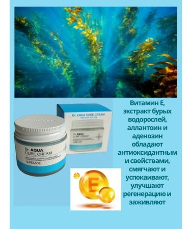 Lebelage Anti-aging aqua cream with brown algae extract - Buy Online on GoSupps.com