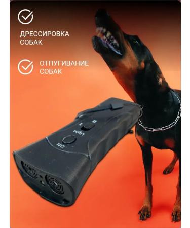 Boarder for your safety trainer - Buy Online on GoSupps.com